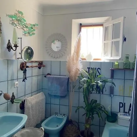 Tropez - Gassin Séjour chez l'habitant *